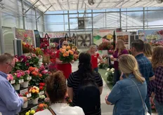 Visitors checking out the Labella Dahlias of Beekenkamp